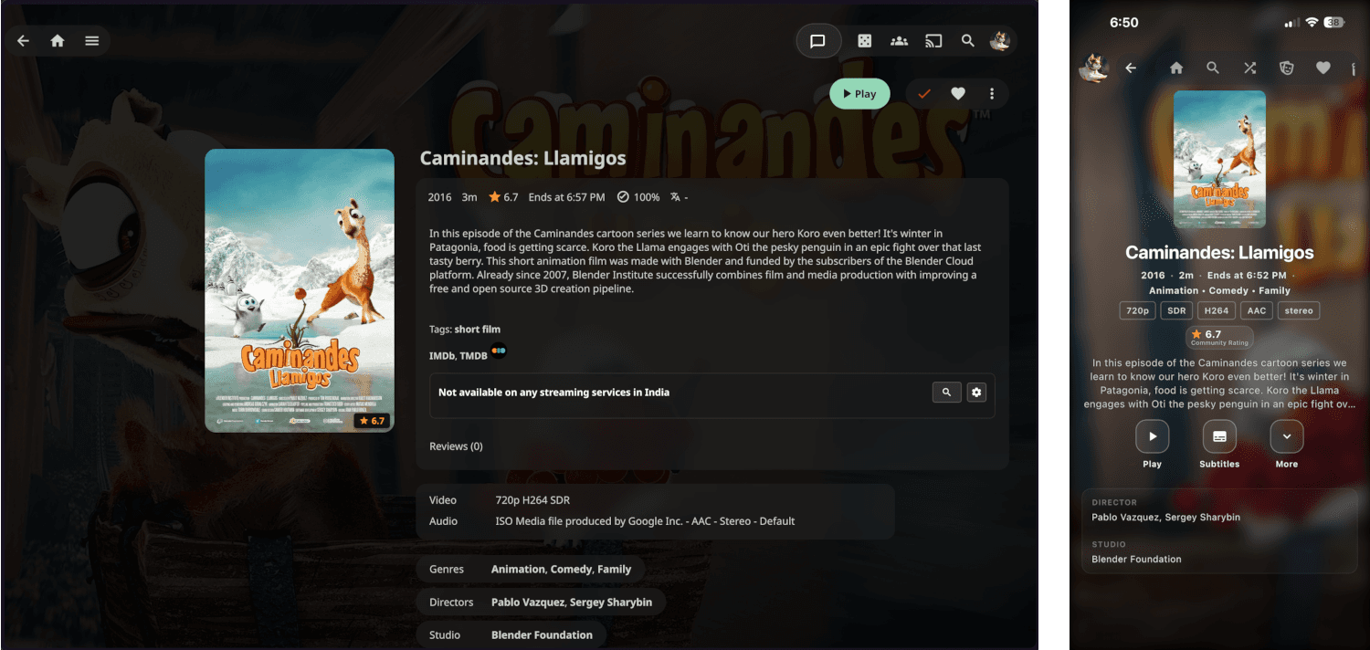 Jellyfin Web and Moonfin mobile app